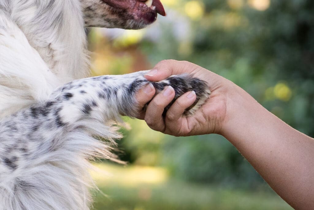 Emma Males Photography business educator shaking hands with her dog Oreo 