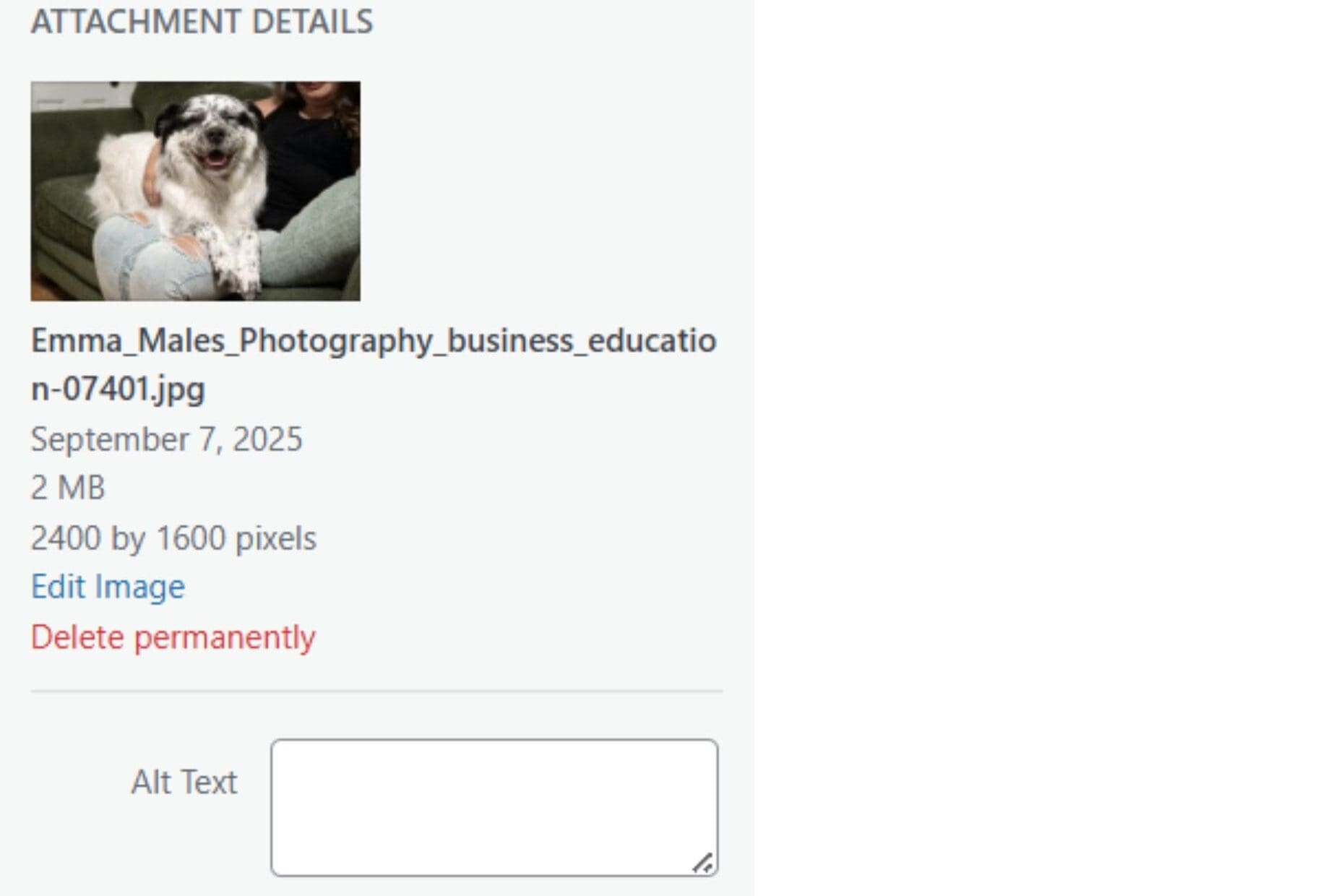 How to Blog as a Photographer