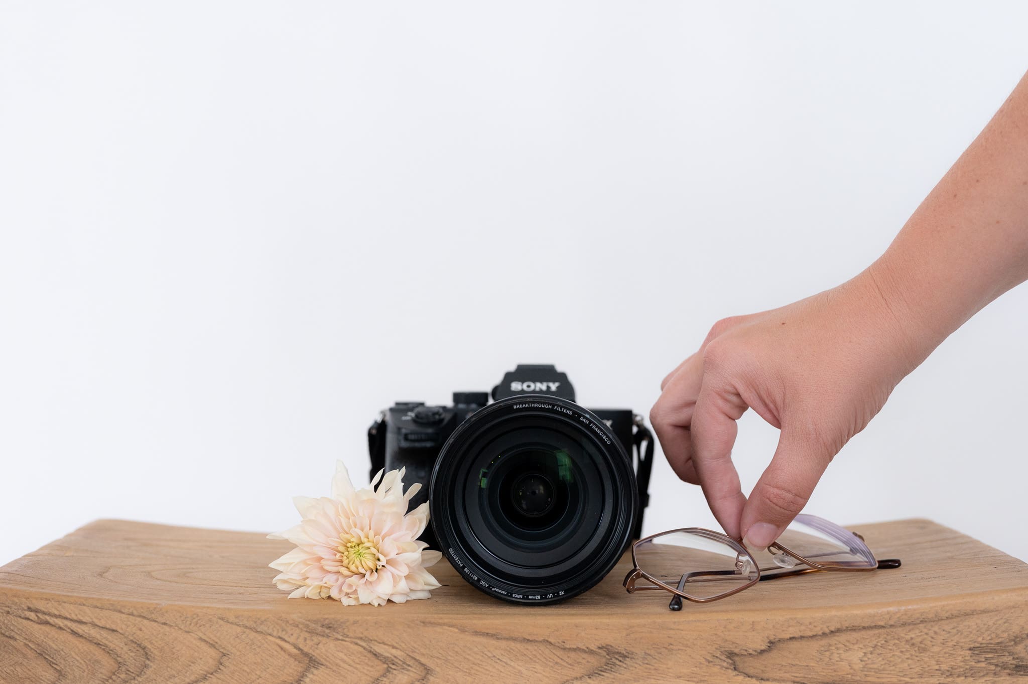 a camera sitting next to a flower and a hand placing glasses. This represents Emma Males Photo VA who teaches blogging for SEO